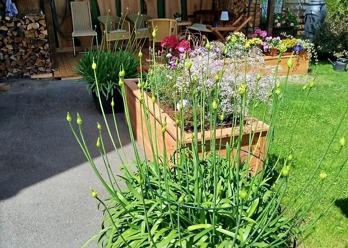 Greifenbach, Gartennutzung, Haustiere Willkommen